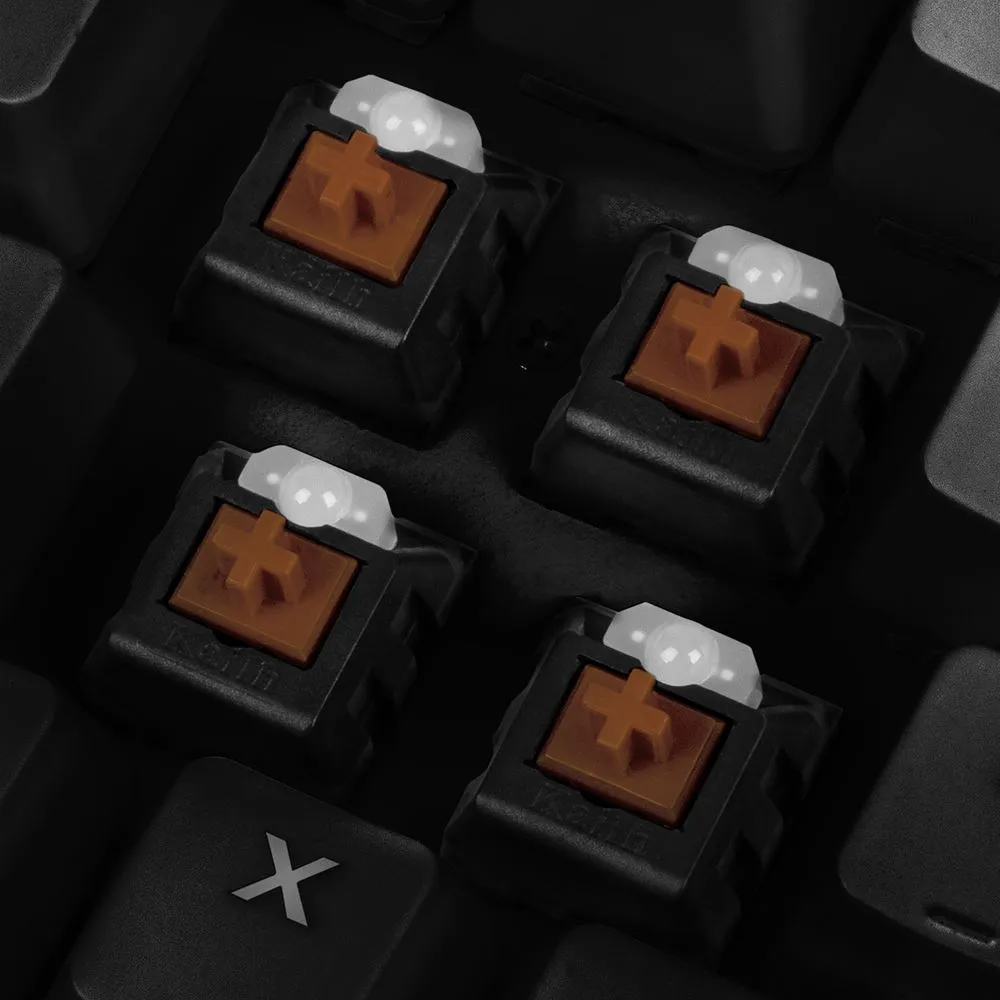 04044951019939 - 3.webp