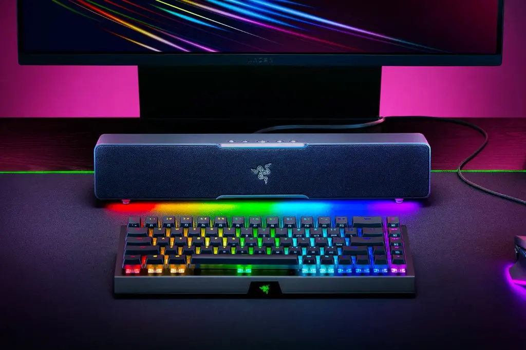 RAZER LEVIATHAN V2 X - BLACK