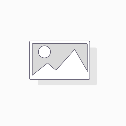 Format & Windows Installation